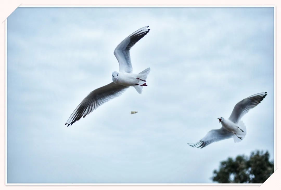 云南省第三人民医院
