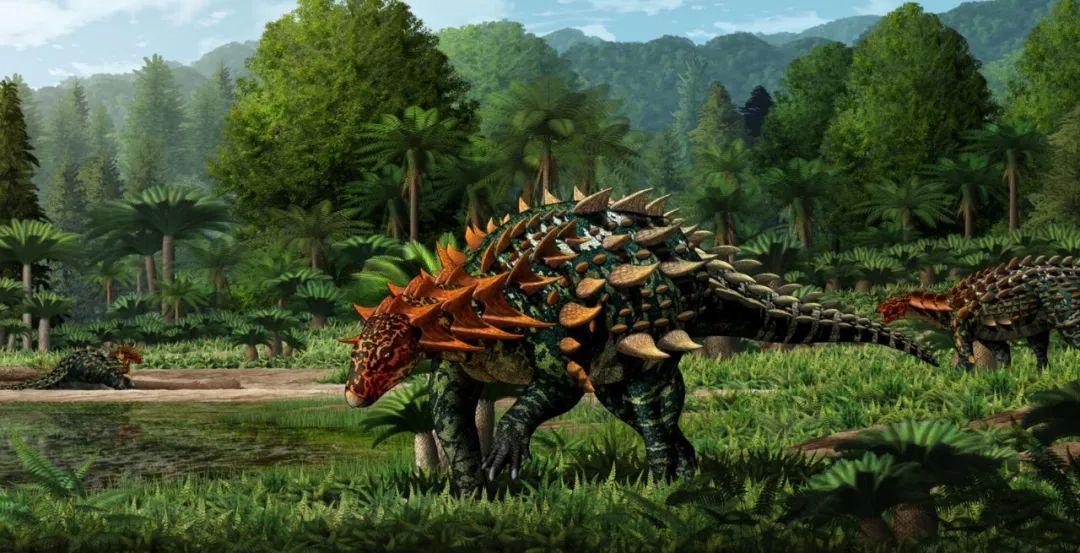 美丽云南微科普