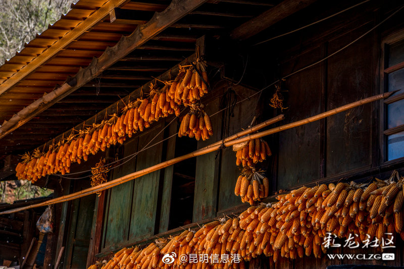 昆明信息港