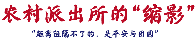云南政法