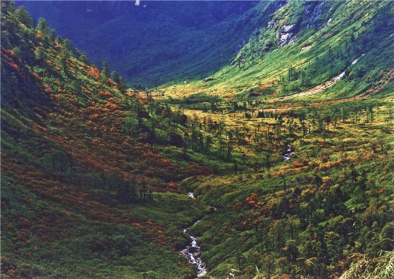 云南省文化和旅游厅