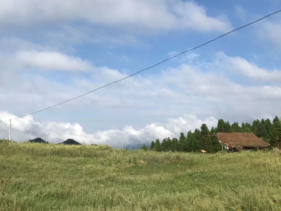 警惕“秋燥综合征”，你可能已经中招了！