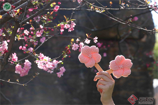 云南省文化和旅游厅