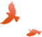东川新闻