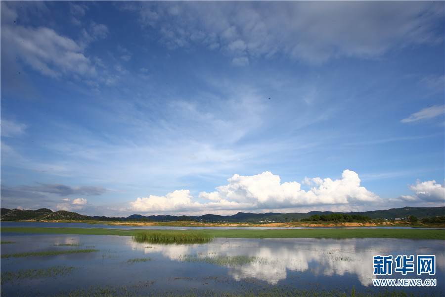 云南省文化和旅游厅