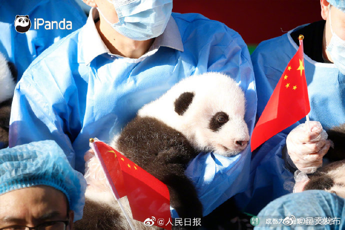 呈贡发布