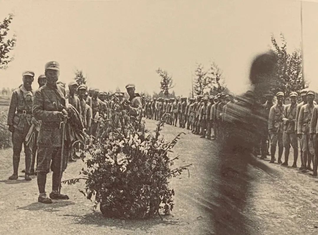 昆明公共文化云