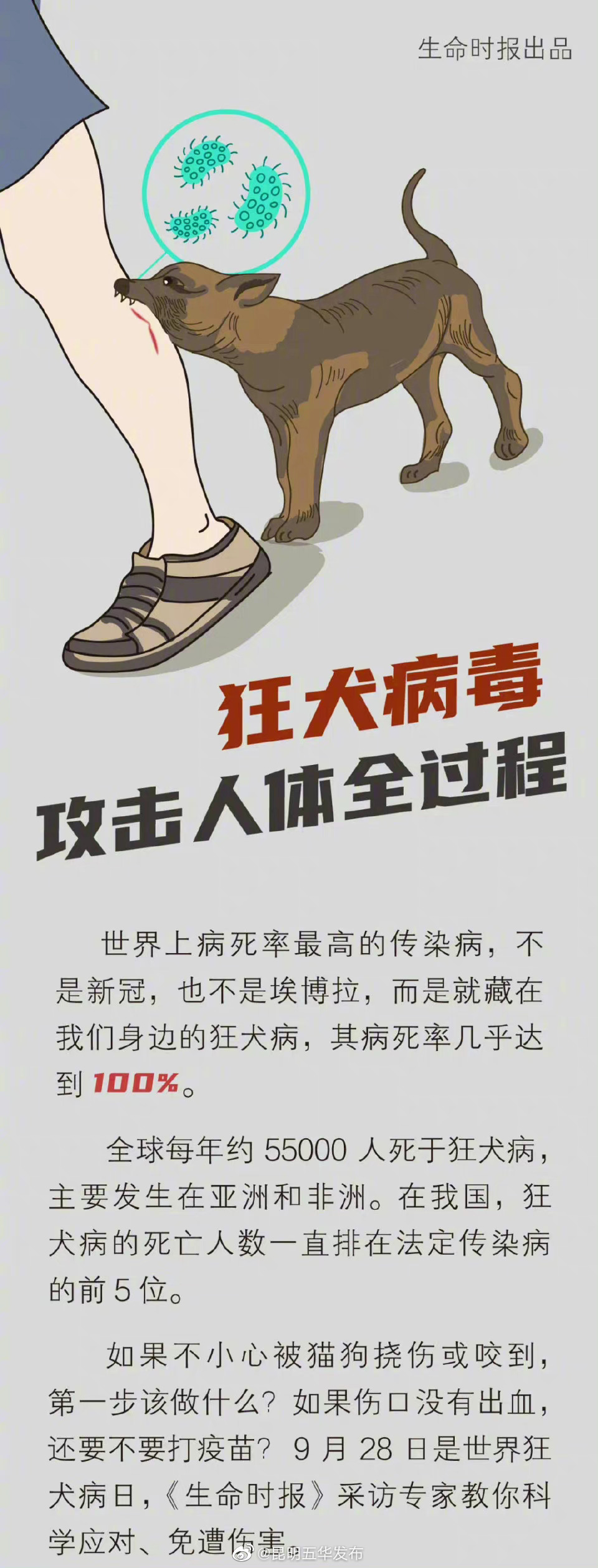 “昆明五华发布”微博