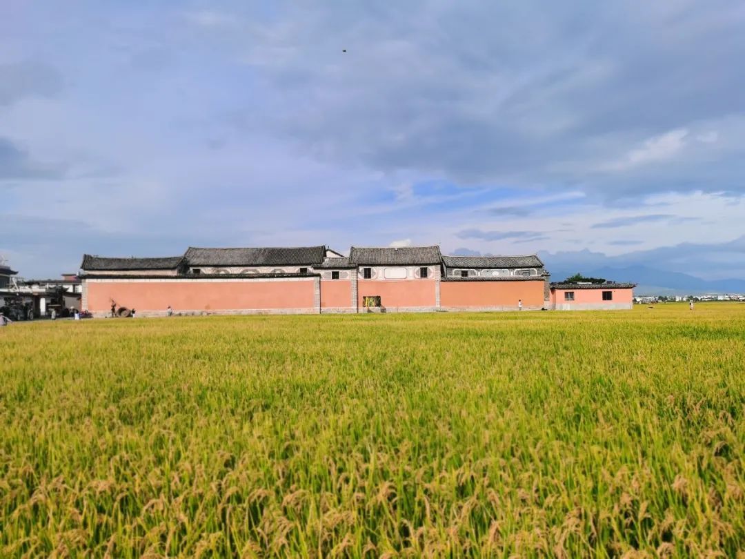 云南省文化和旅游厅