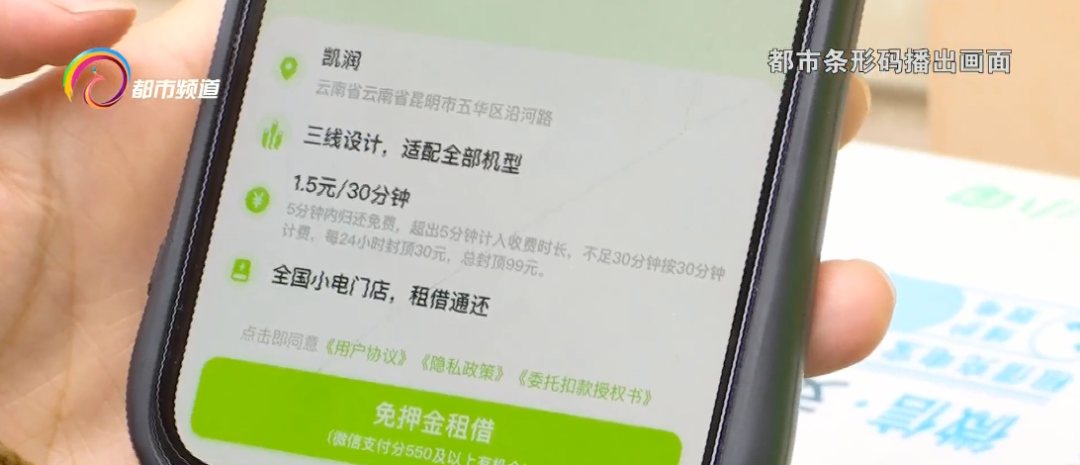 掌上春城