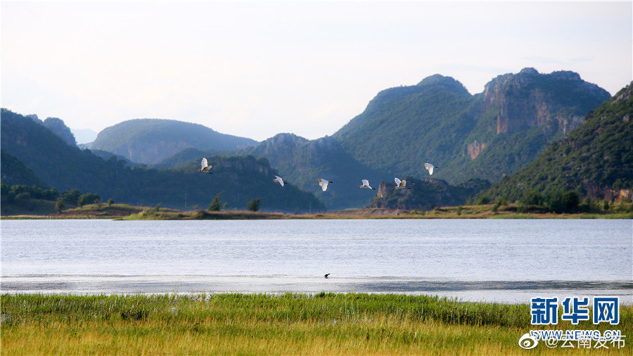 “云南发布”微博