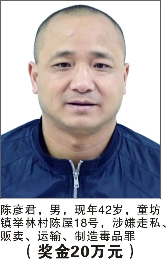 掌上春城