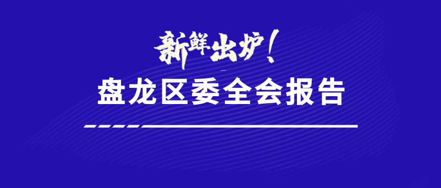 微观盘龙
