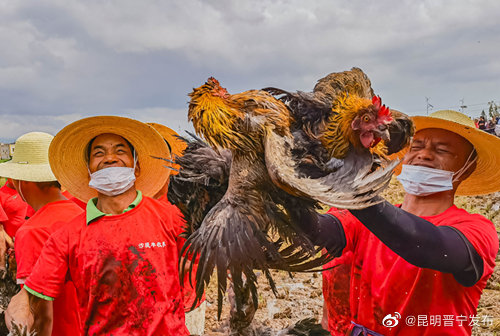 昆明晋宁发布