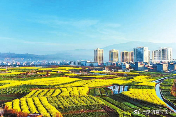 昆明：农业现代化之路越走越宽阔