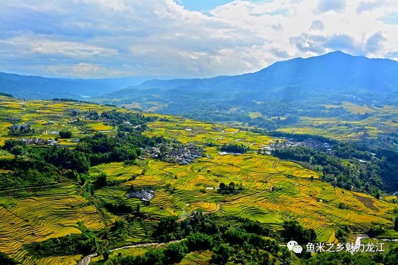 保山新闻网