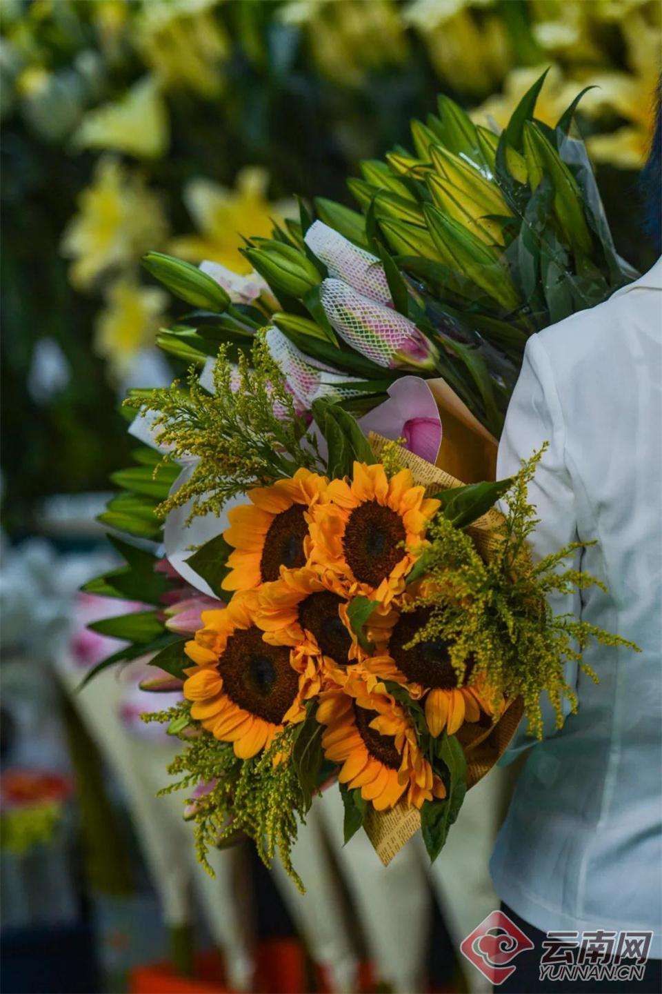 云南省文化和旅游厅