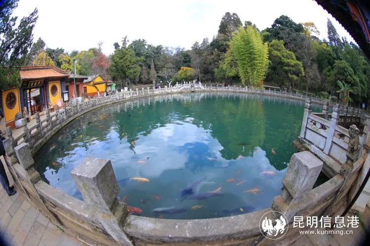 昆明信息港/cnkmxxg