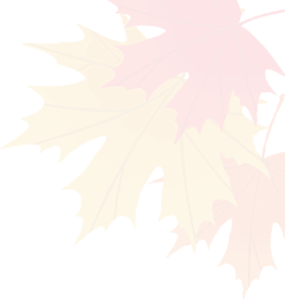 昆明市劳动就业服务局