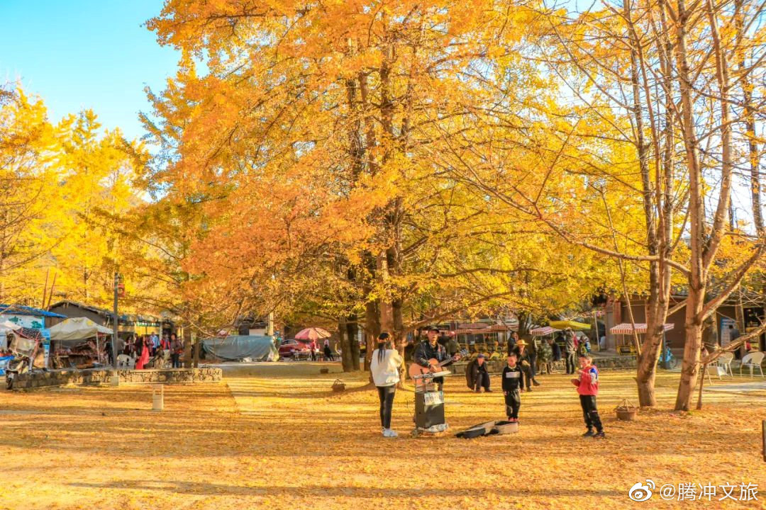 腾冲文旅微博