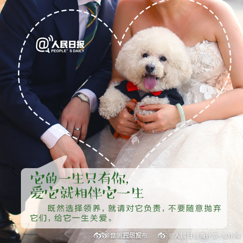 “昆明五华发布”微博