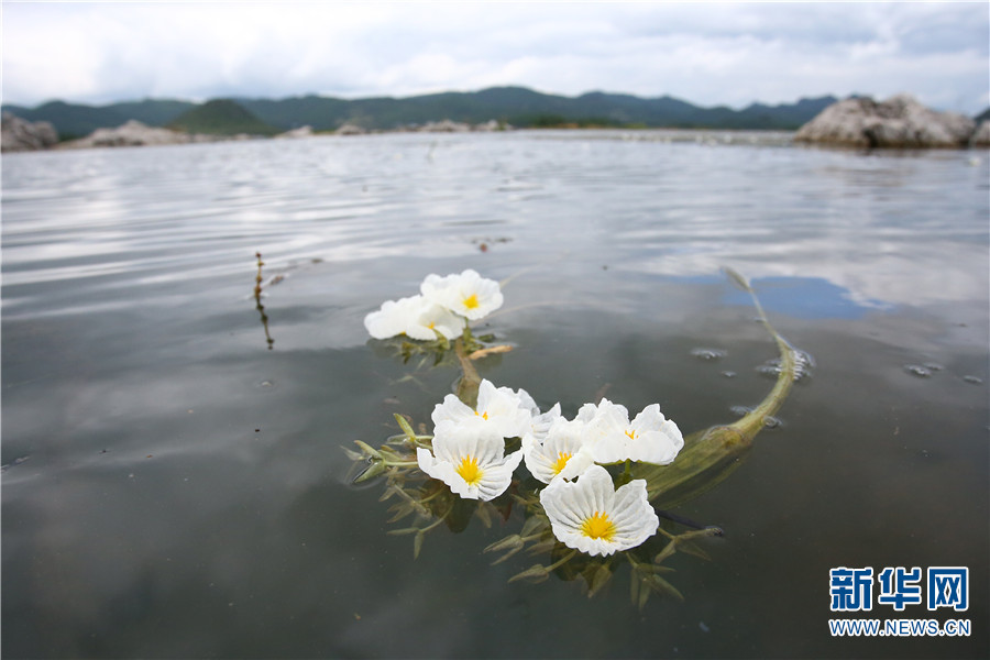 云南省文化和旅游厅