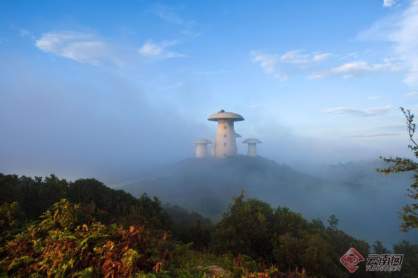 云南省文化和旅游厅