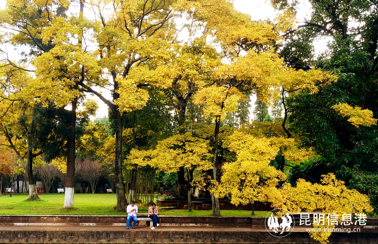 昆明信息港/cnkmxxg