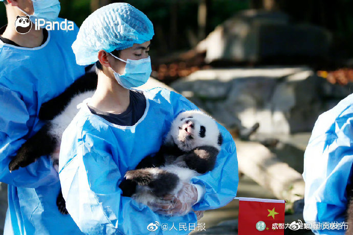 呈贡发布