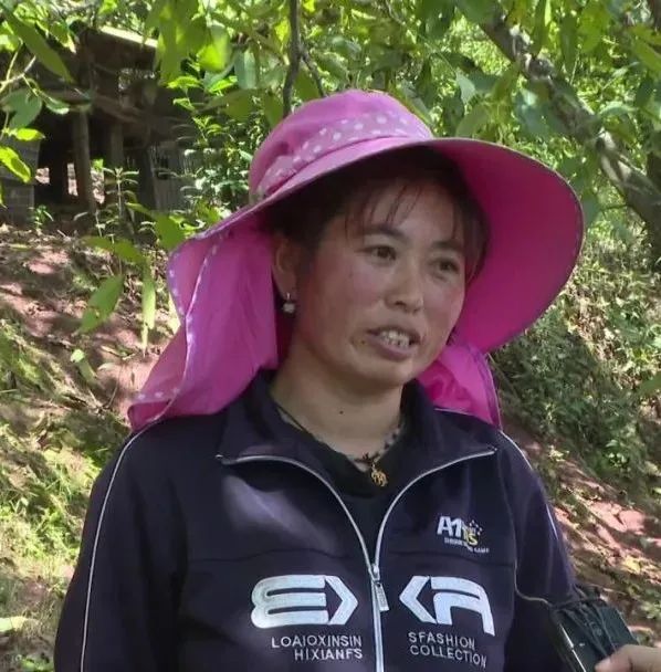 大理电视台