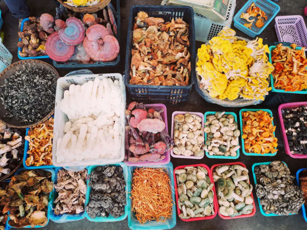 昆明文旅