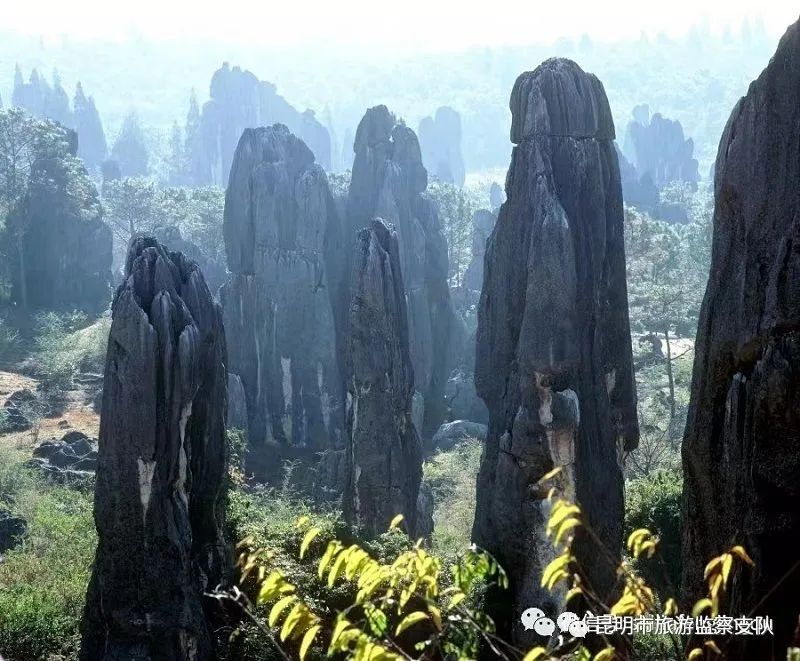昆明市旅游监察支队