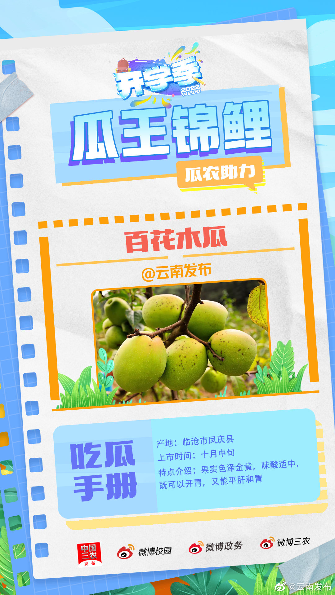 @云南发布 带着百花木瓜来参赛啦