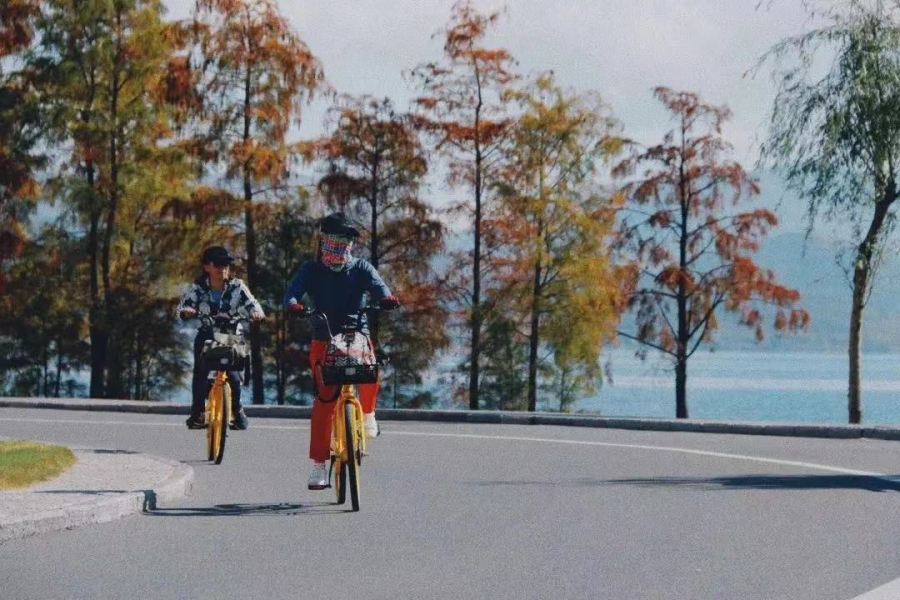 新华网云南频道