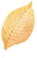 昆明市农业农村局