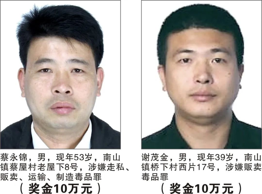 掌上春城