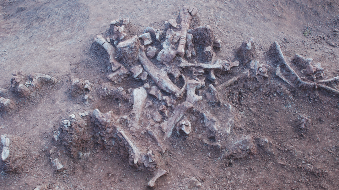 美丽云南微科普