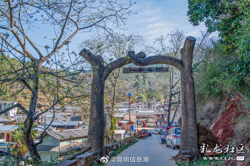 昆明信息港