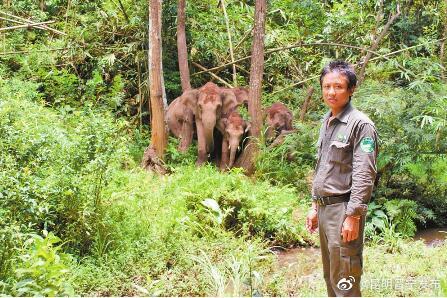 “我愿一生守护野象”——记2022年度“最美退役军人”岩罕陆