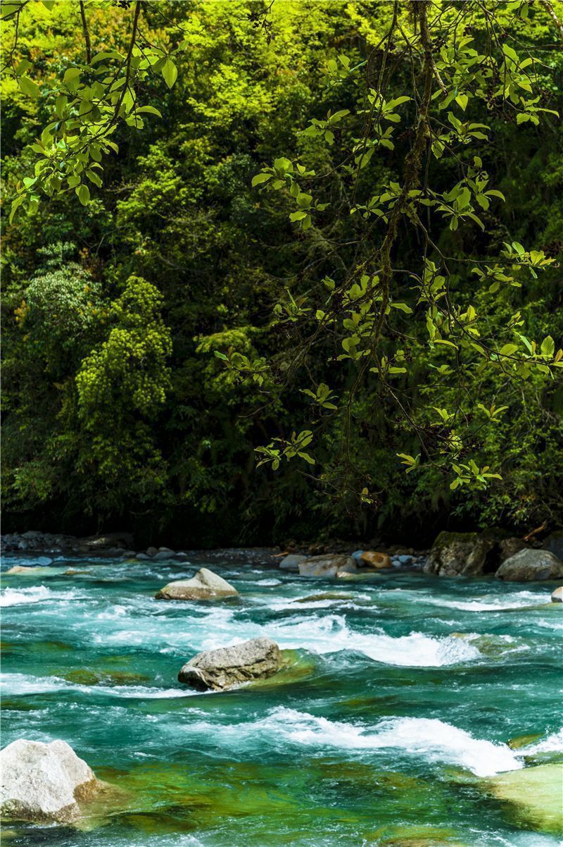 云南省文化和旅游厅