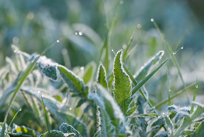 昆明公共文化云