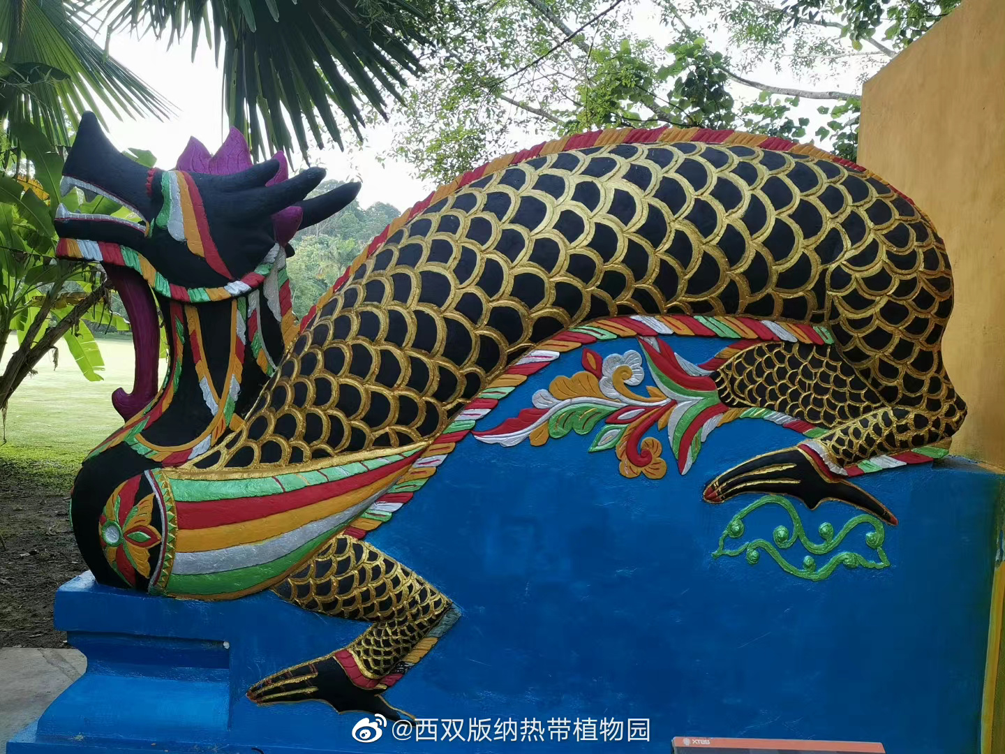 西双版纳热带植物园微博