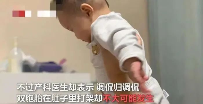 掌上春城