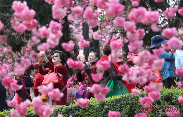 云南省文化和旅游厅