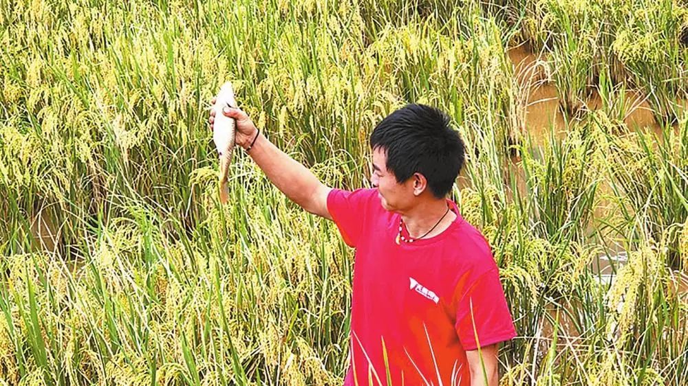 昆明市农业农村局