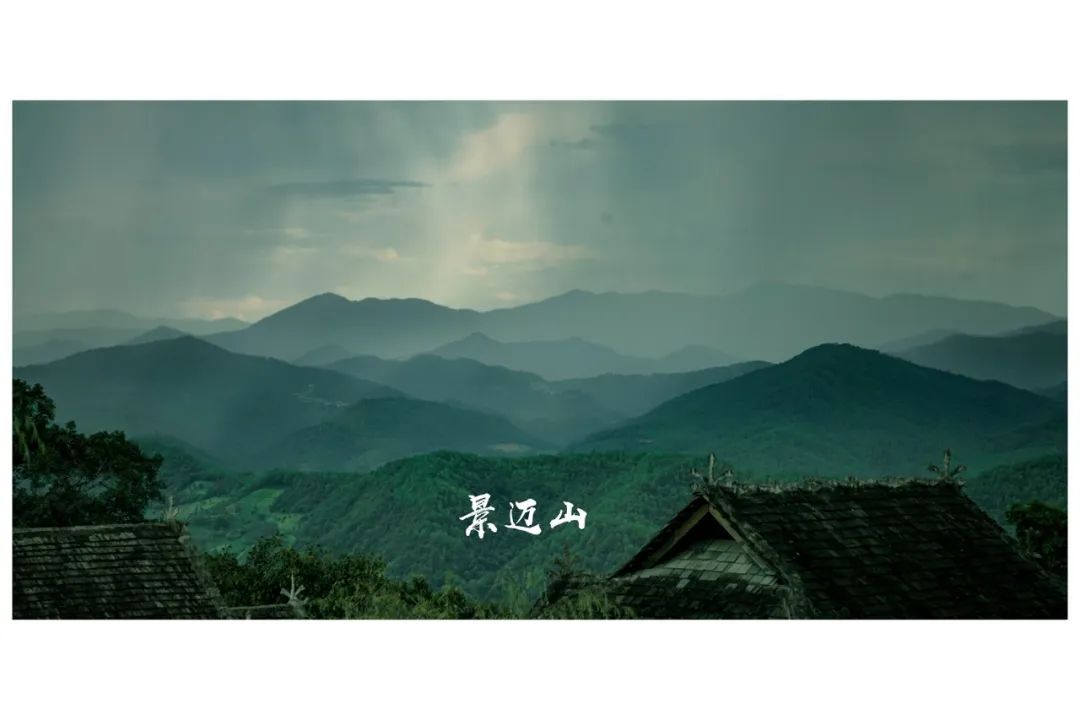 普洱日报