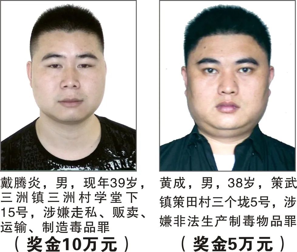 掌上春城