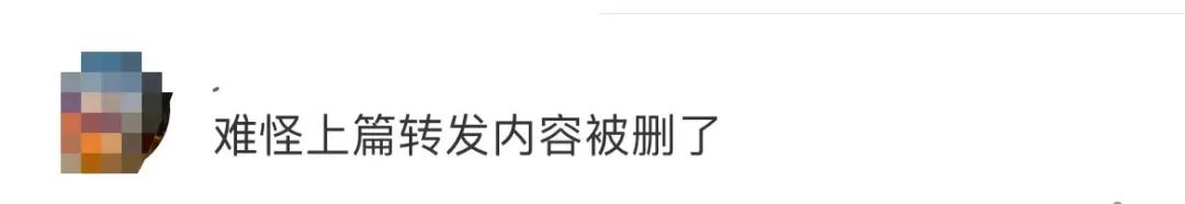 掌上春城