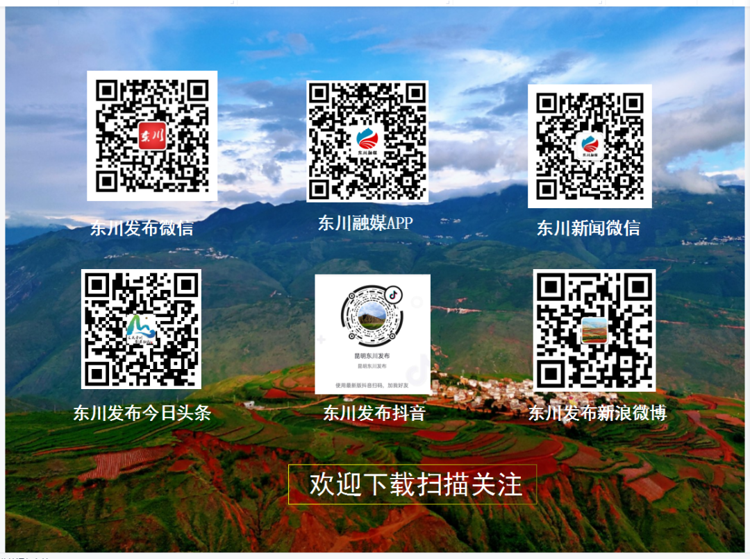 东川发布(微信)