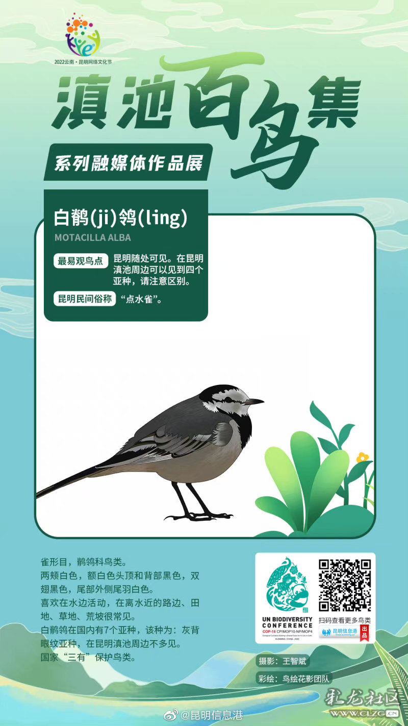 昆明信息港